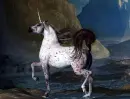 white gray unicorn 