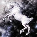 white unicorn