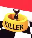 killerdog