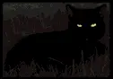 Black cat in dark or light day