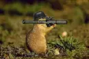 RamboSquirrel