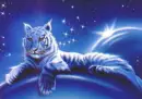 tiger light