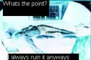 Whats the point 