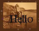 hello Indians