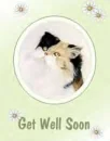 Get Well Soon