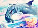 Dolphins!