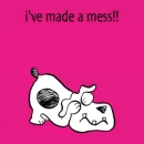 I made a mess