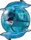 Dolphins