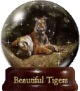 Tigers