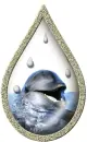 Dolphins