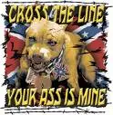Rebel Flag & Dog