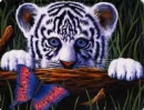 tiger hiding