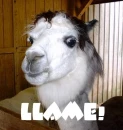LLAME!