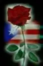 puertorico