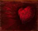 Bleeding heart