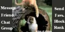 Kittens in a log
