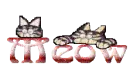 Cat meow 2