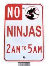 Ninja