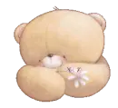 bear sweet