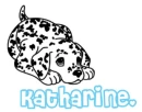 Dalmation - Katharine.