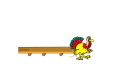 Niki Turkey