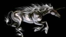 Dark unicorn