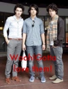 The Jonas Brothers