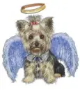 Angel Yorkie