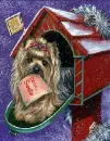 Yorkie Mail