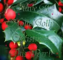 Holly Jolly Christmas