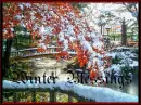 Winter Blessings
