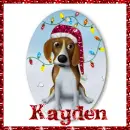 puppy with a santa hat on
