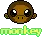 monkey