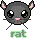 rat