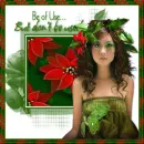 CHRISTMAS FLOWERS