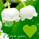 I Love You!