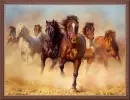 WILD HORSES