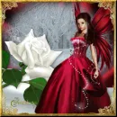A Rose in December