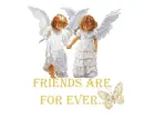 Friends are for ever