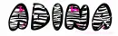 Adina zebra