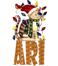 Ari