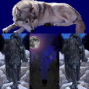 wolf