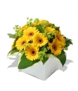 Yellow flower