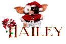HAILEY
