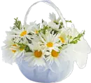Sweety