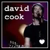 david cook
