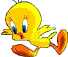 fly!!!!