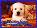 Please Come Home For Christmas...