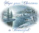 Hope your Christmas is Beautiful