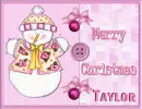 Pink Snowman Taylor